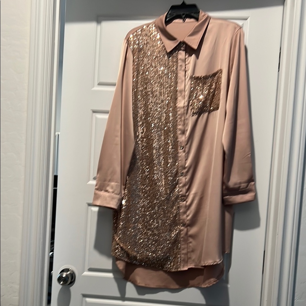 Sequin Embellished Blush Shirt Dress